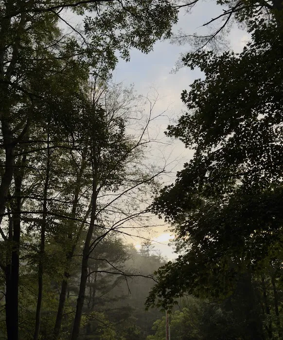 Dingmans Campground Picture 6