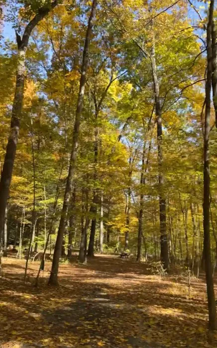 Dingmans Campground Picture 10