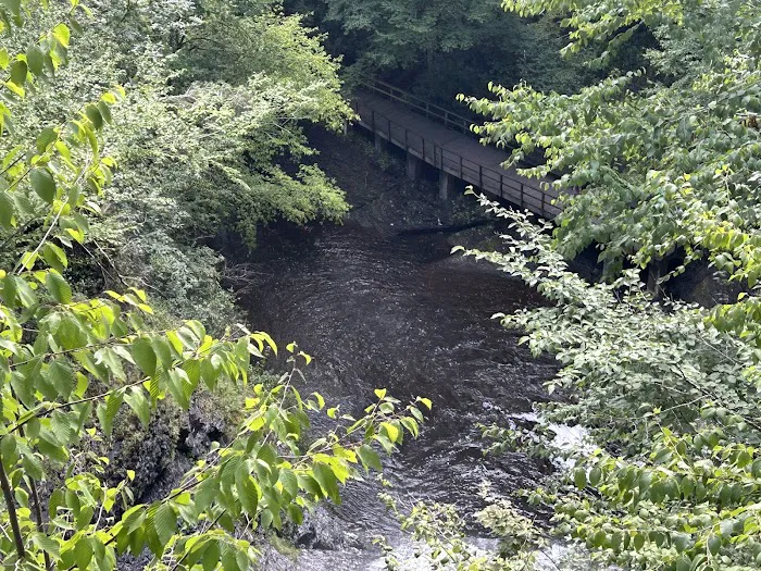 Dingmans Campground Picture 9