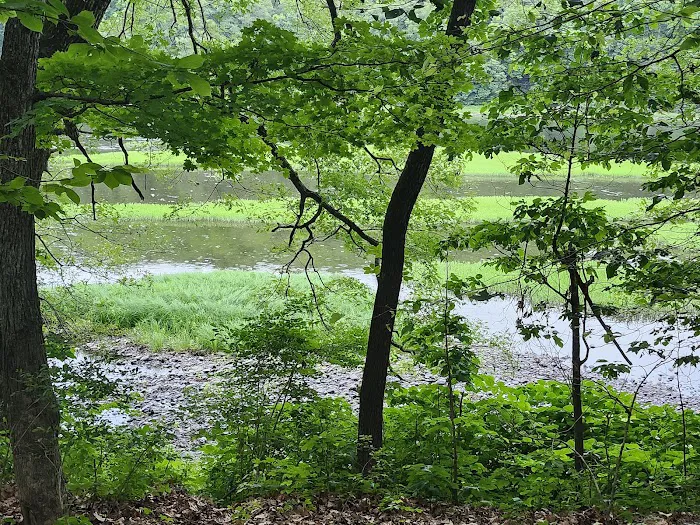 Dingmans Campground Picture 7