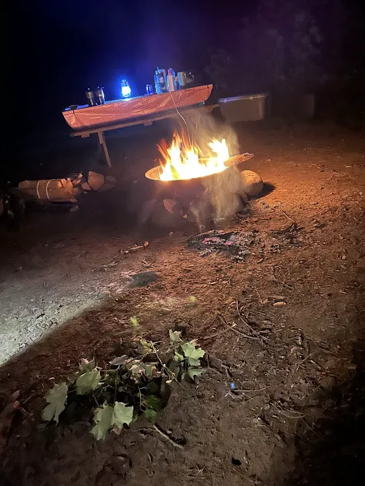 Dingmans Campground Picture 8