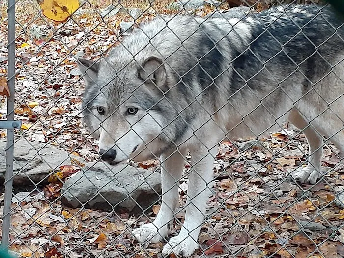 Camp Taylor Campground Picture 1