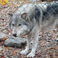 Camp Taylor Campground ico