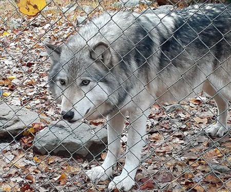 Camp Taylor Campground