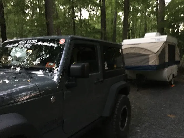 Worthington State Forest Campground Picture 8