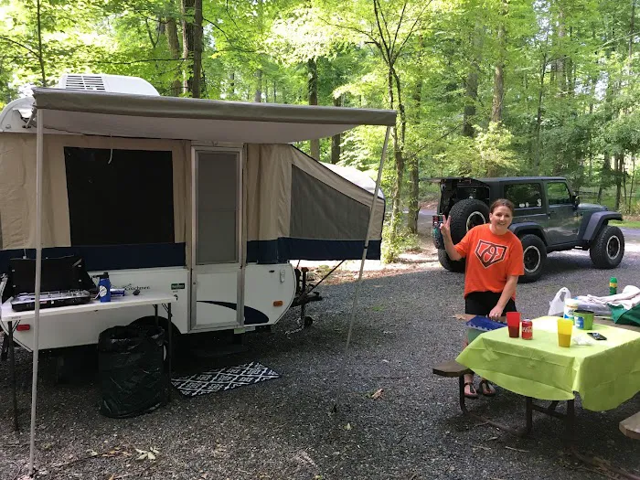 Worthington State Forest Campground Picture 6