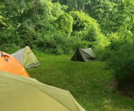 Freeman Point River Campsites