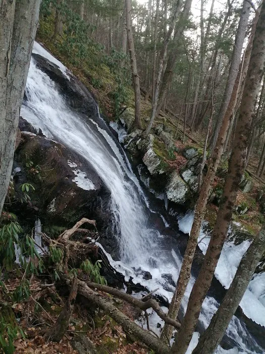 Freeman Point River Campsites Picture 6