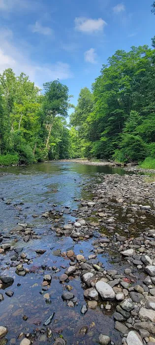 Freeman Point River Campsites Picture 7