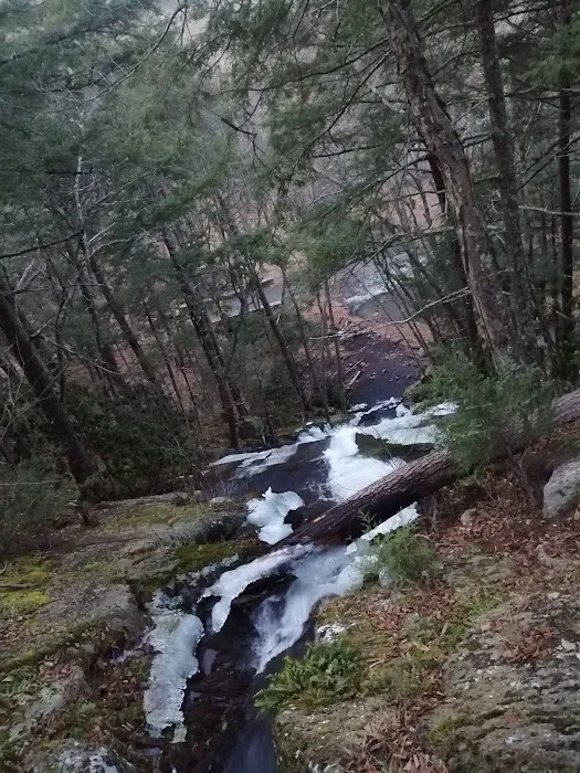 Freeman Point River Campsites Picture 9