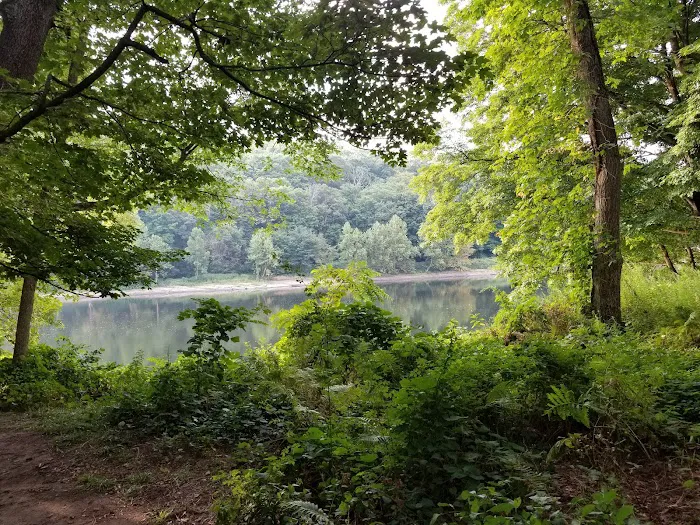 MC-2 River Campsite Picture 2