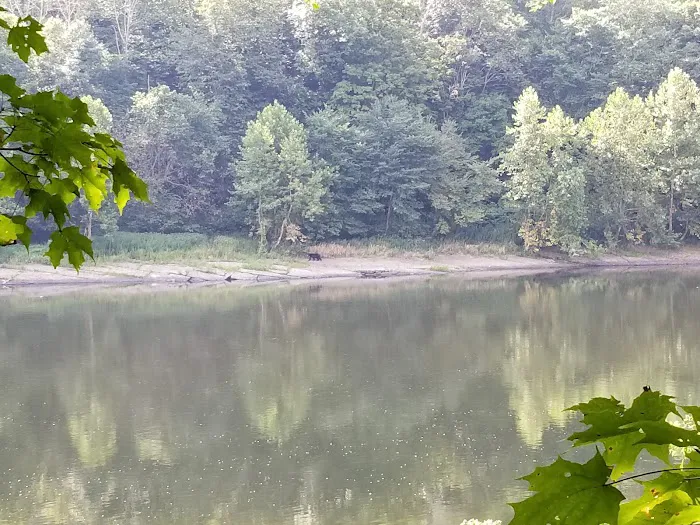 MC-2 River Campsite Picture 1