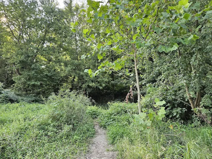 National Park Service - Delaware River - Jerry Lees - Campsites # 33-34 Picture 3