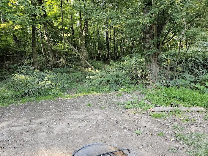 National Park Service - Delaware River - Jerry Lees - Campsites # 33-34 Picture 1