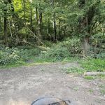 National Park Service - Delaware River - Jerry Lees - Campsites # 33-34