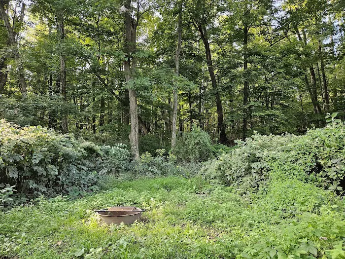 National Park Service - Delaware River - Jerry Lees - Campsites # 33-34 Picture 4