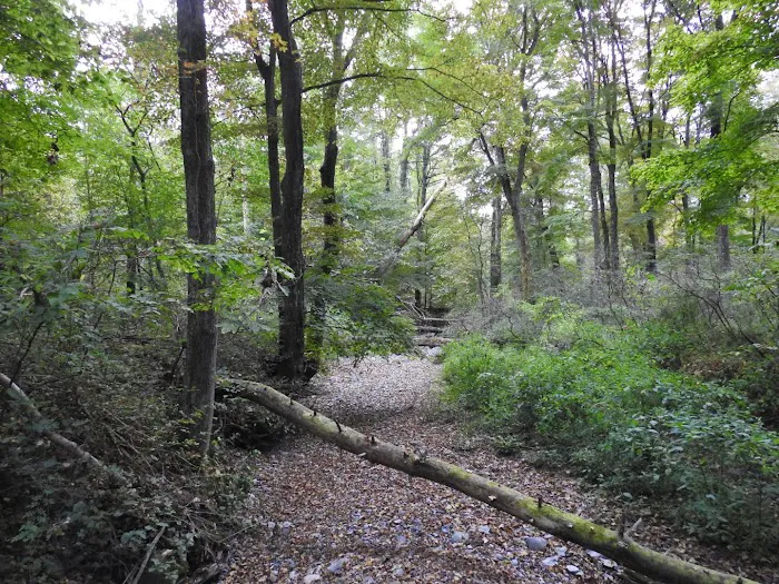 National Park Service - Delaware River - Jerry Lees - Campsites # 33-34 Picture 7