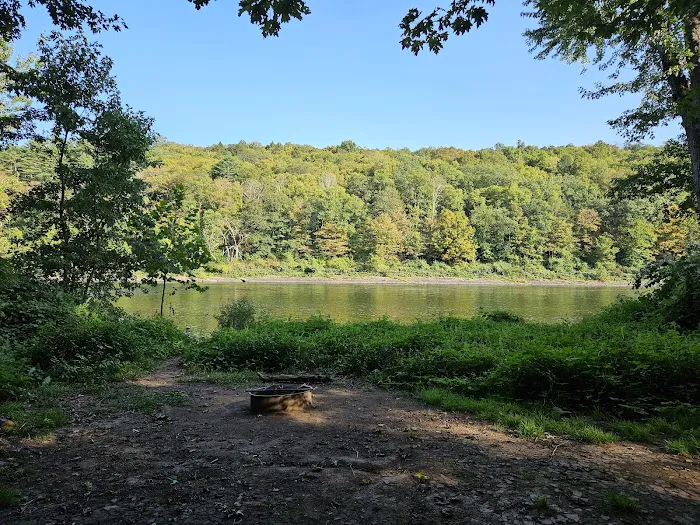 National Park Service - Delaware River - Jerry Lees - Campsites # 33-34 Picture 10