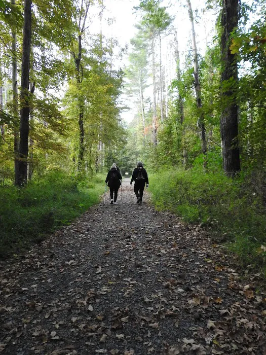 National Park Service - Delaware River - Jerry Lees - Campsites # 33-34 Picture 8