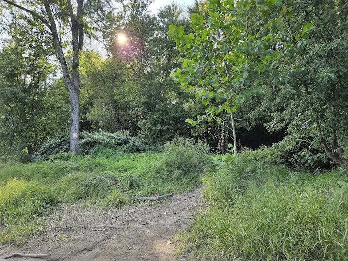 National Park Service - Delaware River - Jerry Lees - Campsites # 33-34 Picture 9