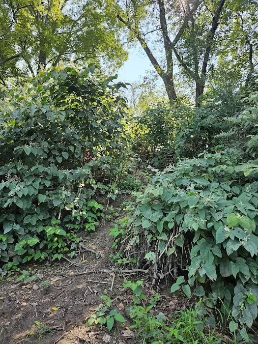 National Park Service - Delaware River - Ratcliffs - Campsites # 52-54 Picture 4