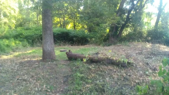 National Park Service - Delaware River - Ratcliffs - Campsites # 52-54 Picture 8