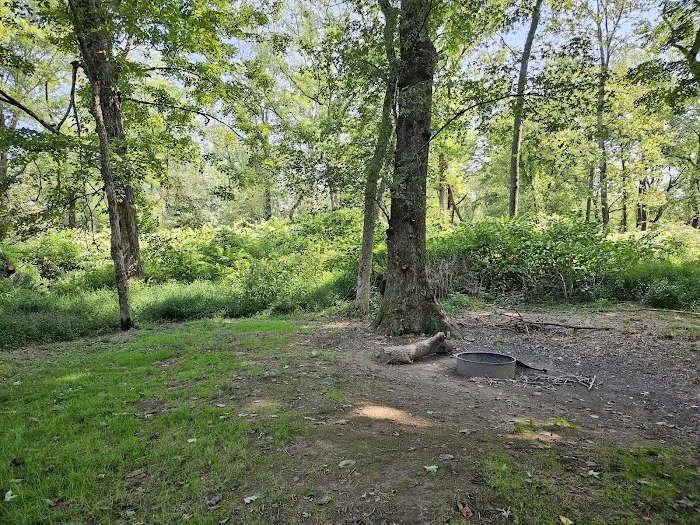 National Park Service - Delaware River - Ratcliffs - Campsites # 52-54 Picture 7