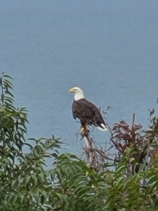 Dorothy P. Flint 4-H Camp, Cliff House East Picture 2