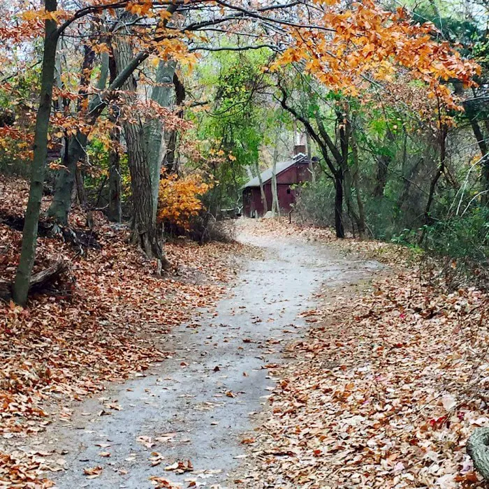 Cub Scout Day Camp Picture 8