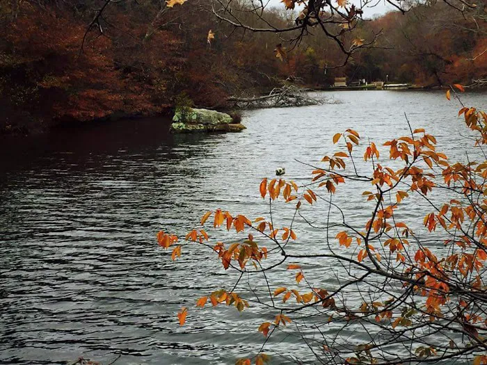 Cub Scout Day Camp Picture 7