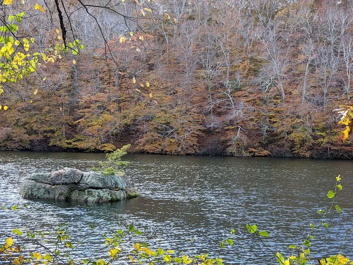 Baiting Hollow Scout Camp- Boy Scouts of America Picture 3