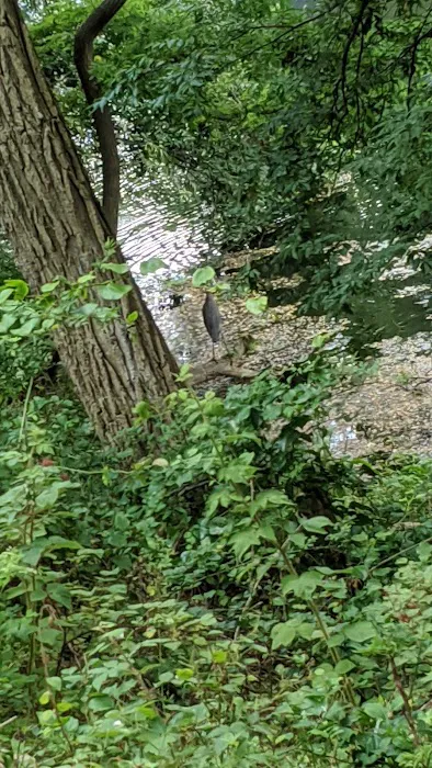 Baiting Hollow Scout Camp- Boy Scouts of America Picture 1