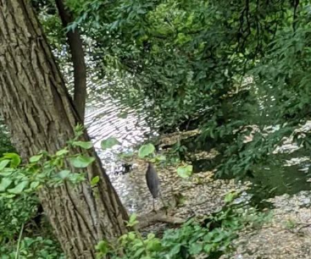 Baiting Hollow Scout Camp- Boy Scouts of America