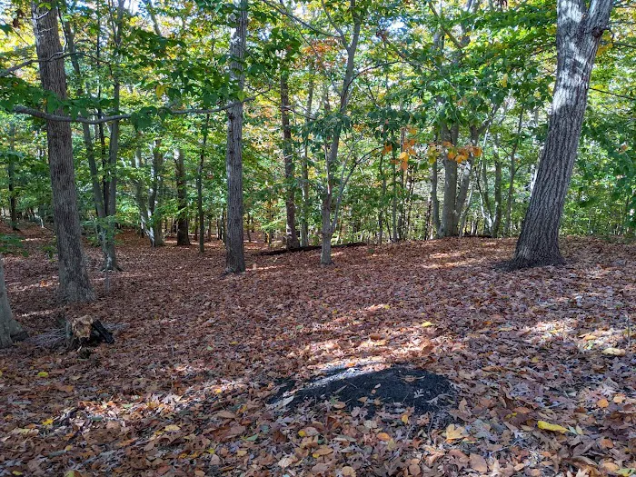 Baiting Hollow Scout Camp- Boy Scouts of America Picture 6