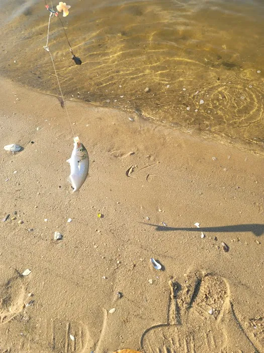 Indian island Picture 3