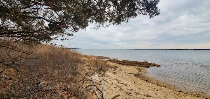 Indian island Picture 4