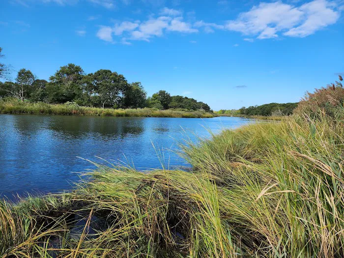 Indian island Picture 10