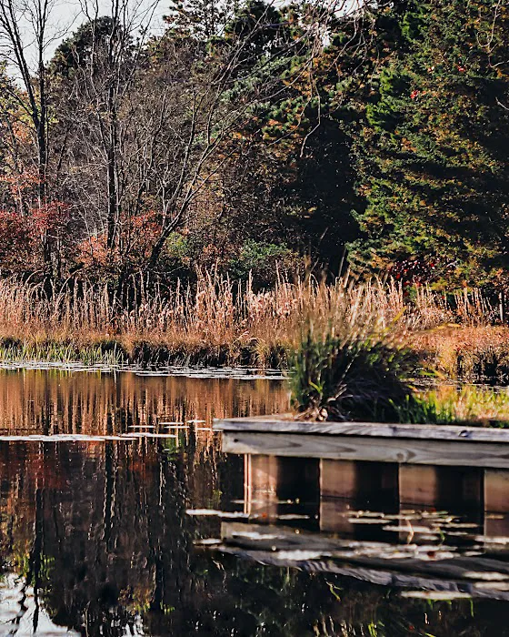 Lady’s Lake Campgroud Picture 10