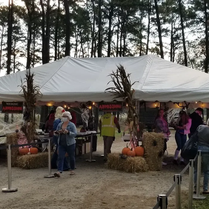 Paradise Lakes Campground Picture 10