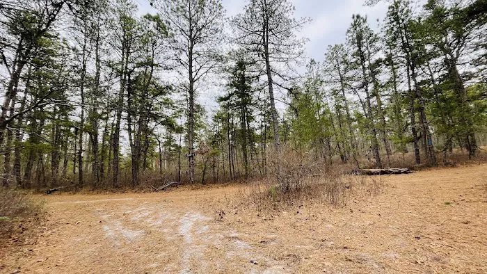 Buttonwood Hill Campsite Picture 1