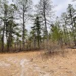 Buttonwood Hill Campsite