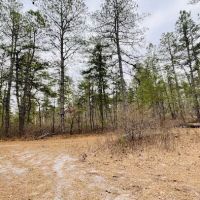 Buttonwood Hill Campsite ico