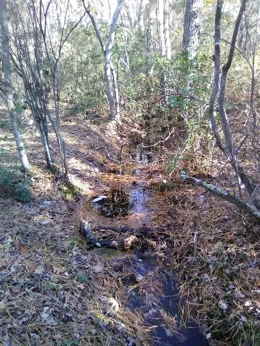 Buttonwood Hill Campsite Picture 8