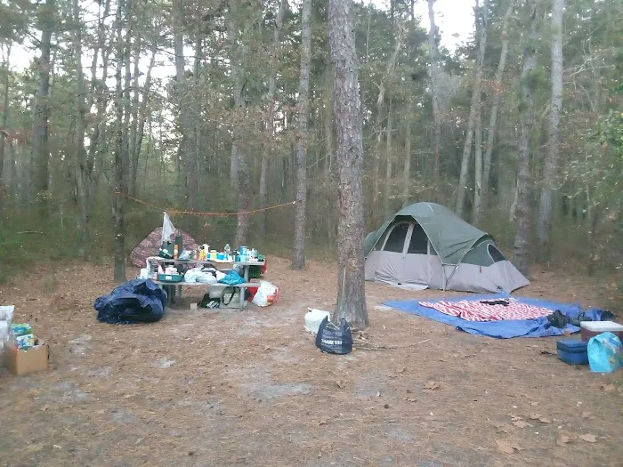 Buttonwood Hill Campsite Picture 4