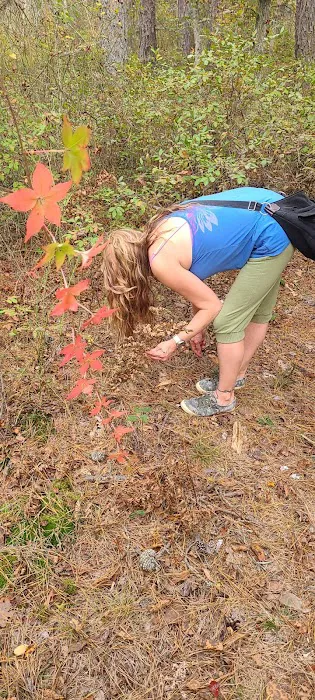 Buttonwood Hill Campsite Picture 5