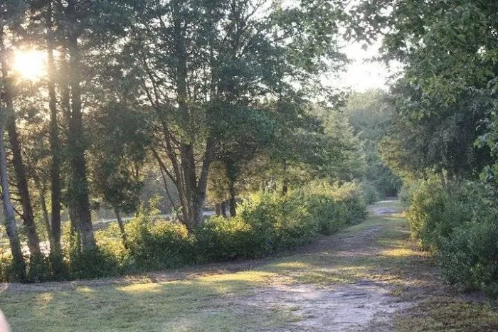 Timberline Lake Camping Resort Picture 9