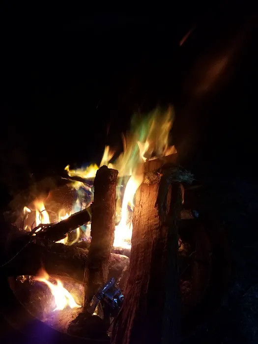 Turtle Run Campground & RV Picture 5