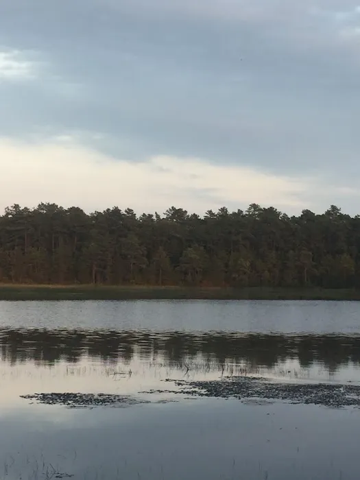 Pilgrim Lake Camp Grounds Picture 3