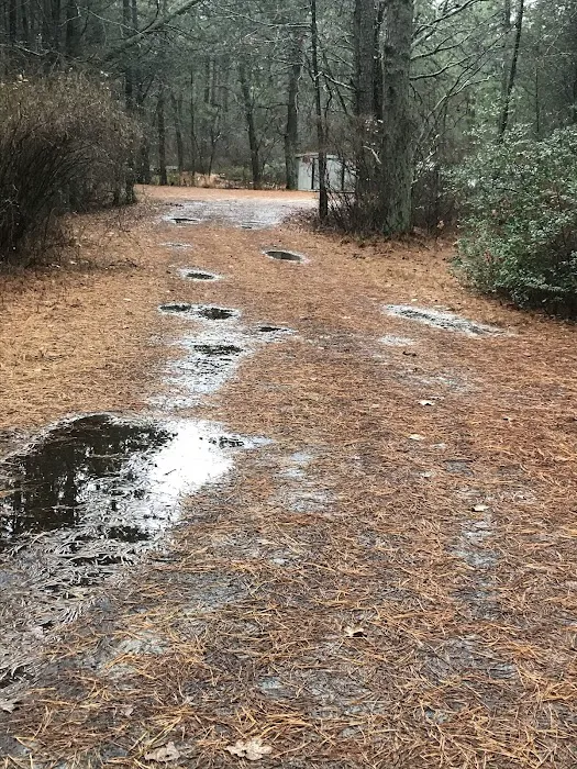 Pilgrim Lake Camp Grounds Picture 8