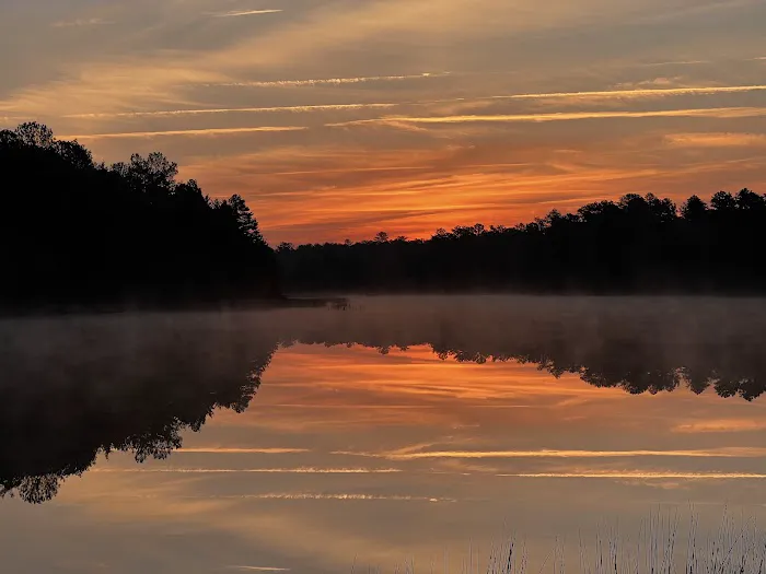 South Campground at Bass River State Forest Picture 2